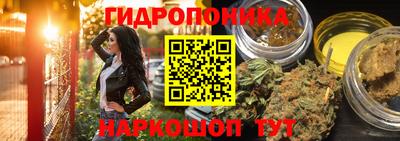 гидра Рыбинск