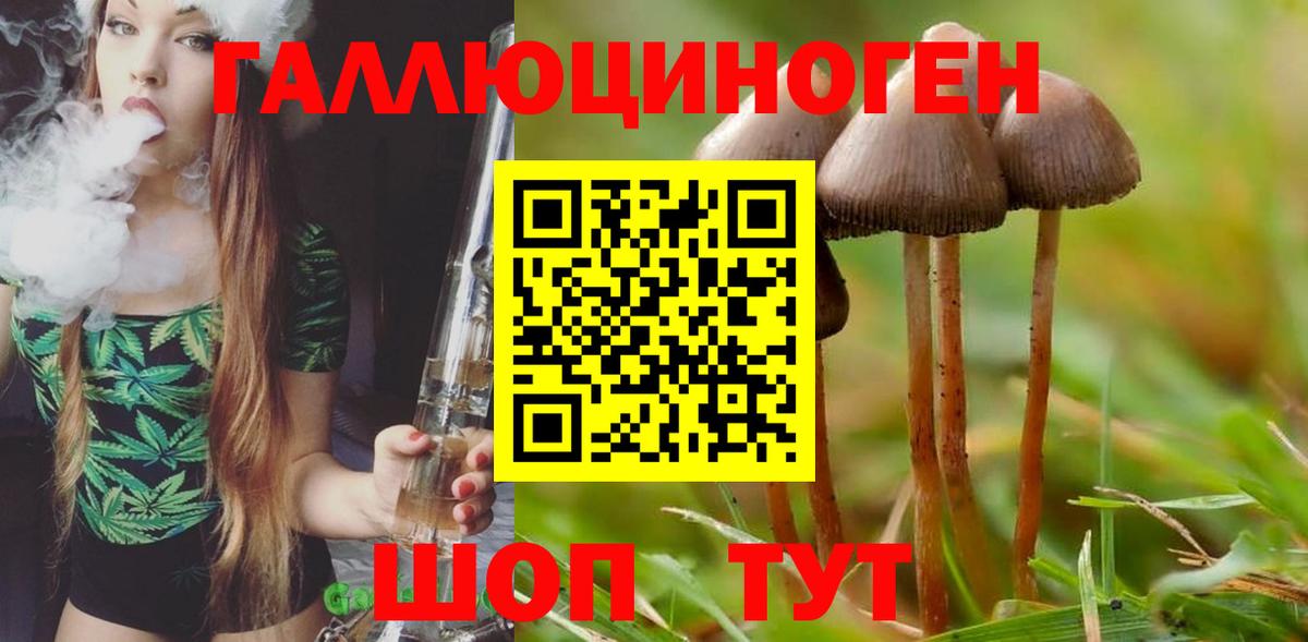 Галлюциногенные грибы прущие грибы  закладки  Ртищево  Вход с VPN  Псилоцибиновые грибы Psilocybe 